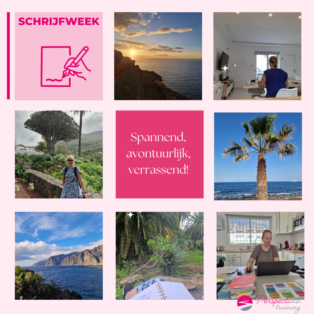 Een collage van een schrijversretraite met uitzicht op de oceaan, palmbomen, berglandschap en mensen die op laptops werken.