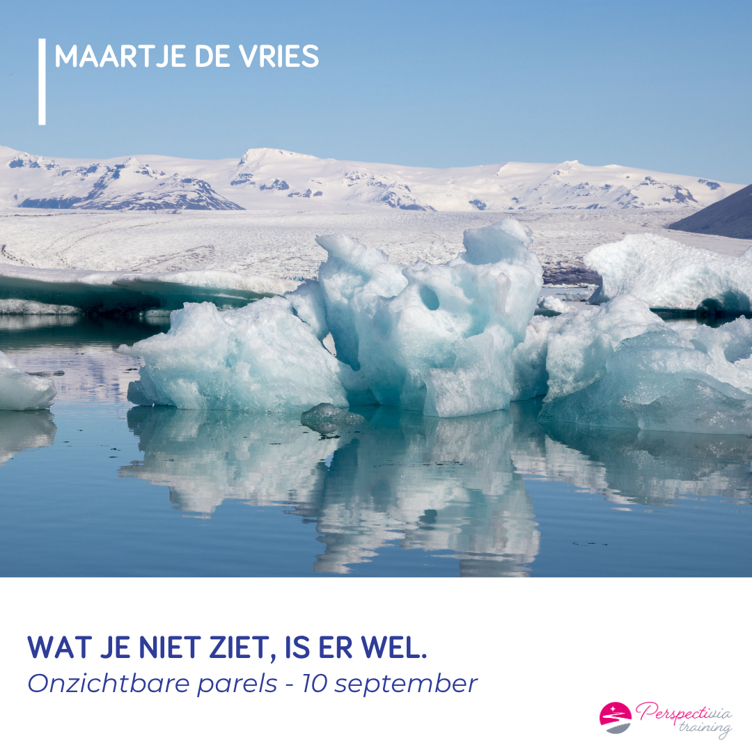 Onzichtbaar onder water
