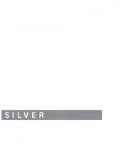 A white background with a gray border and the word silver on it.