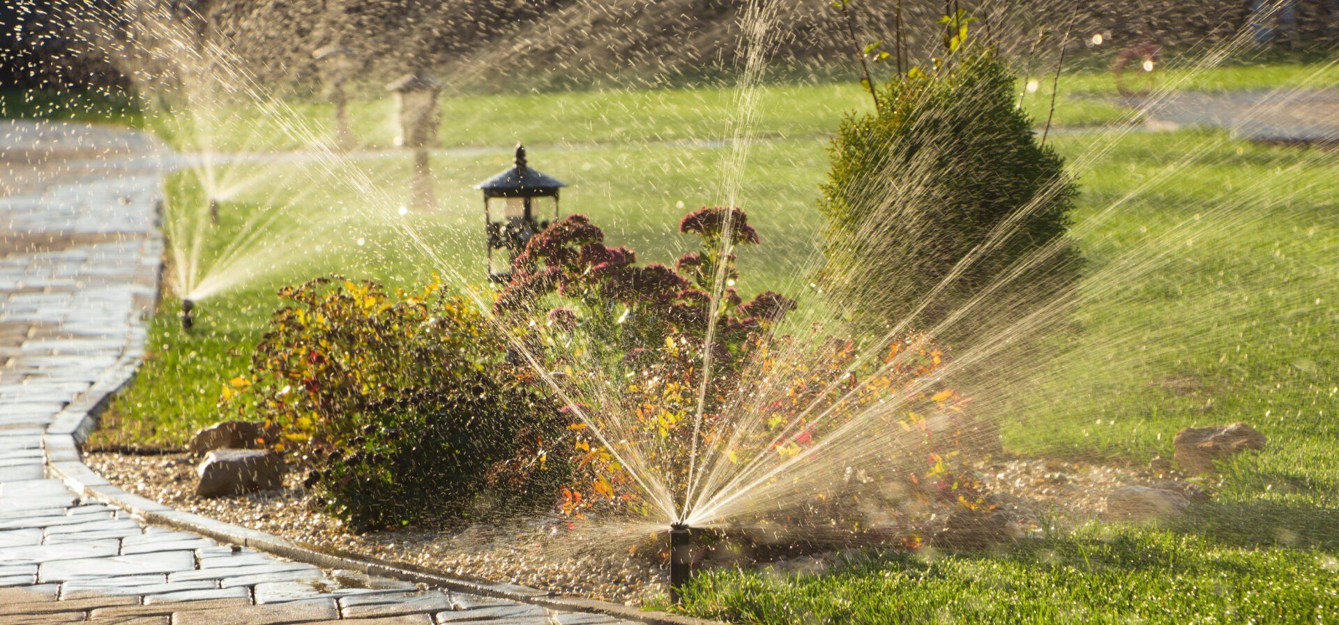 A sprinkler is spraying water on a lush green lawn.
