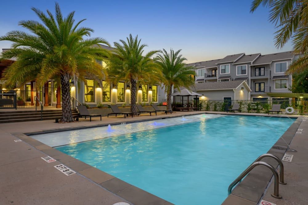 A Swimming pool surrounded by palm trees at Marquis SoCo in South Austin, TX.