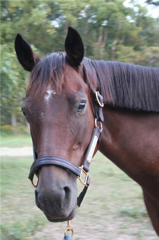 Linda's Paradiso at The Exceller Fund