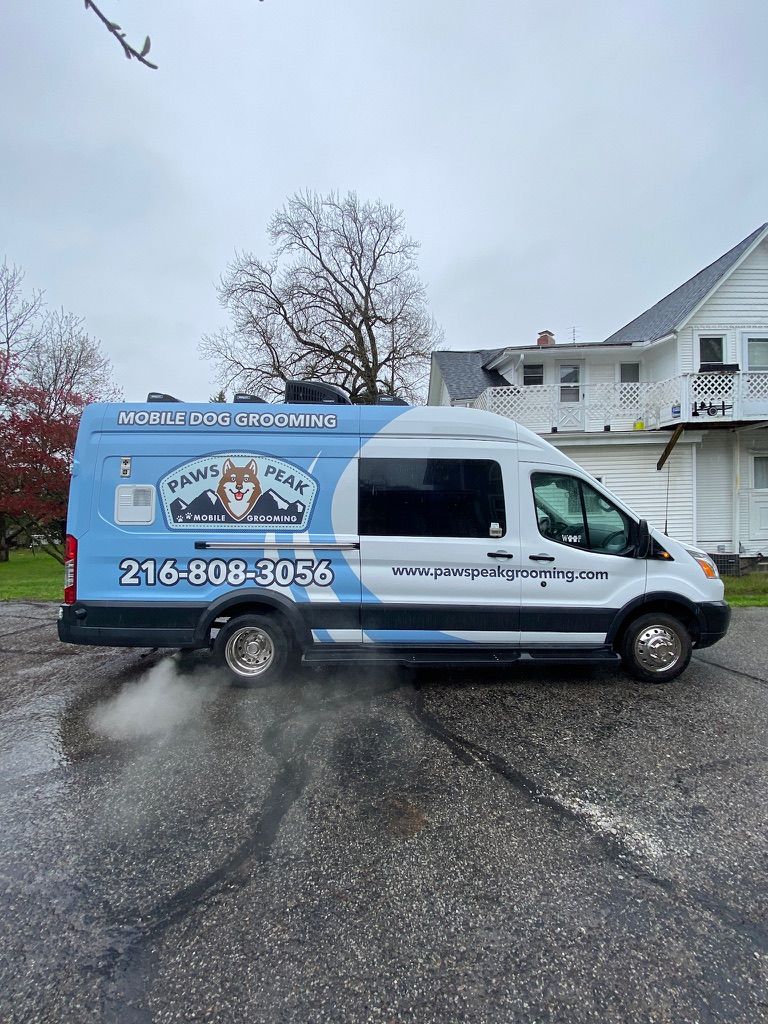 Blue-and-white service van parked on a wet street near houses on a cloudy day