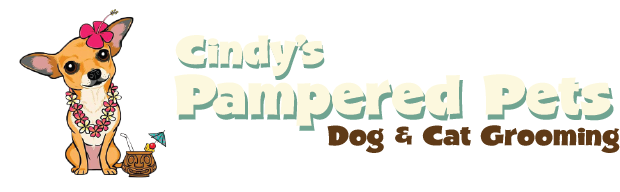 Pet Groomer in Melbourne, FL | Cindy's Pampered Pets Pet Groomer in Melbourne, FL | Cindy's Pampered Pets
