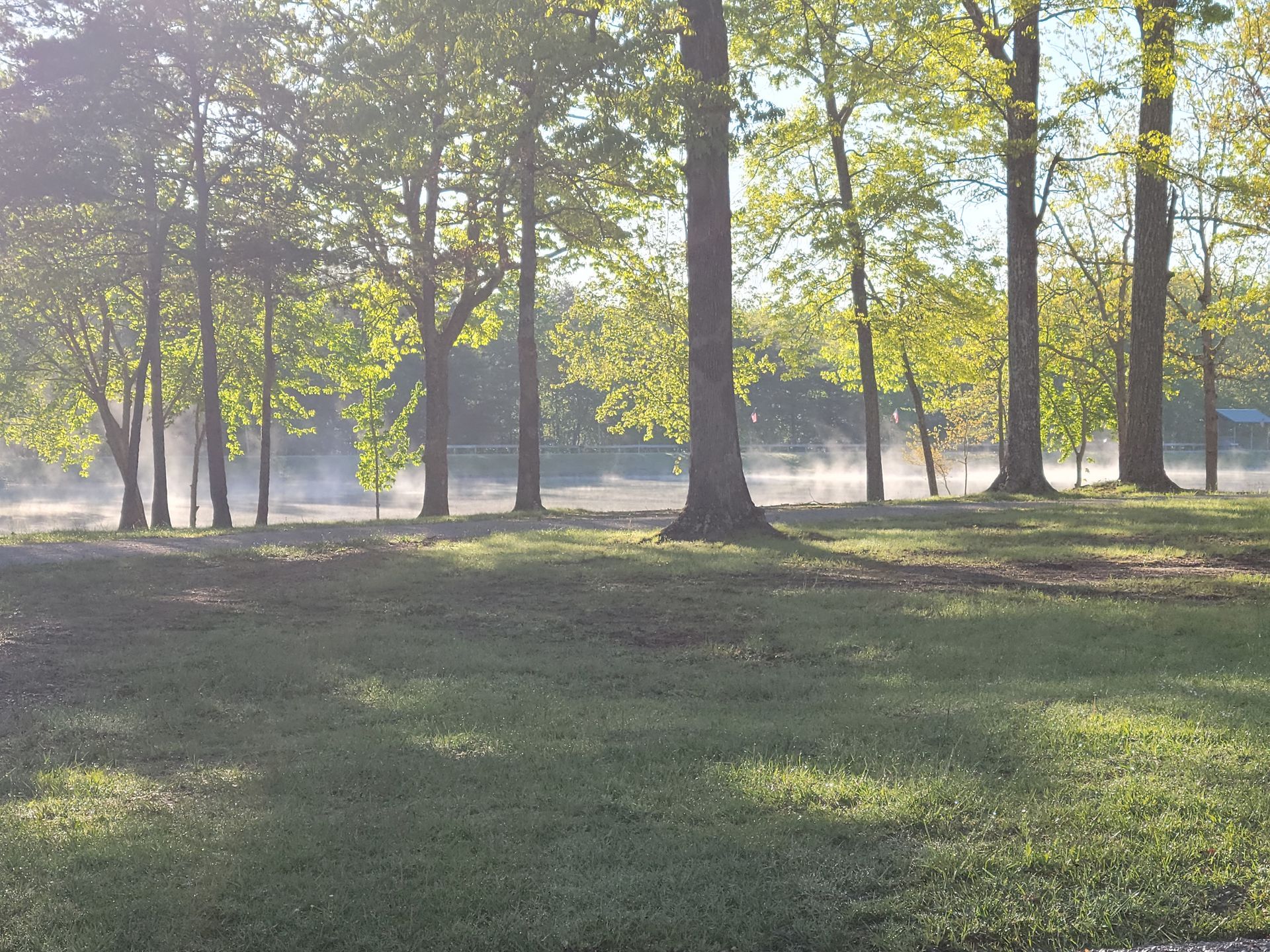 Morning Park