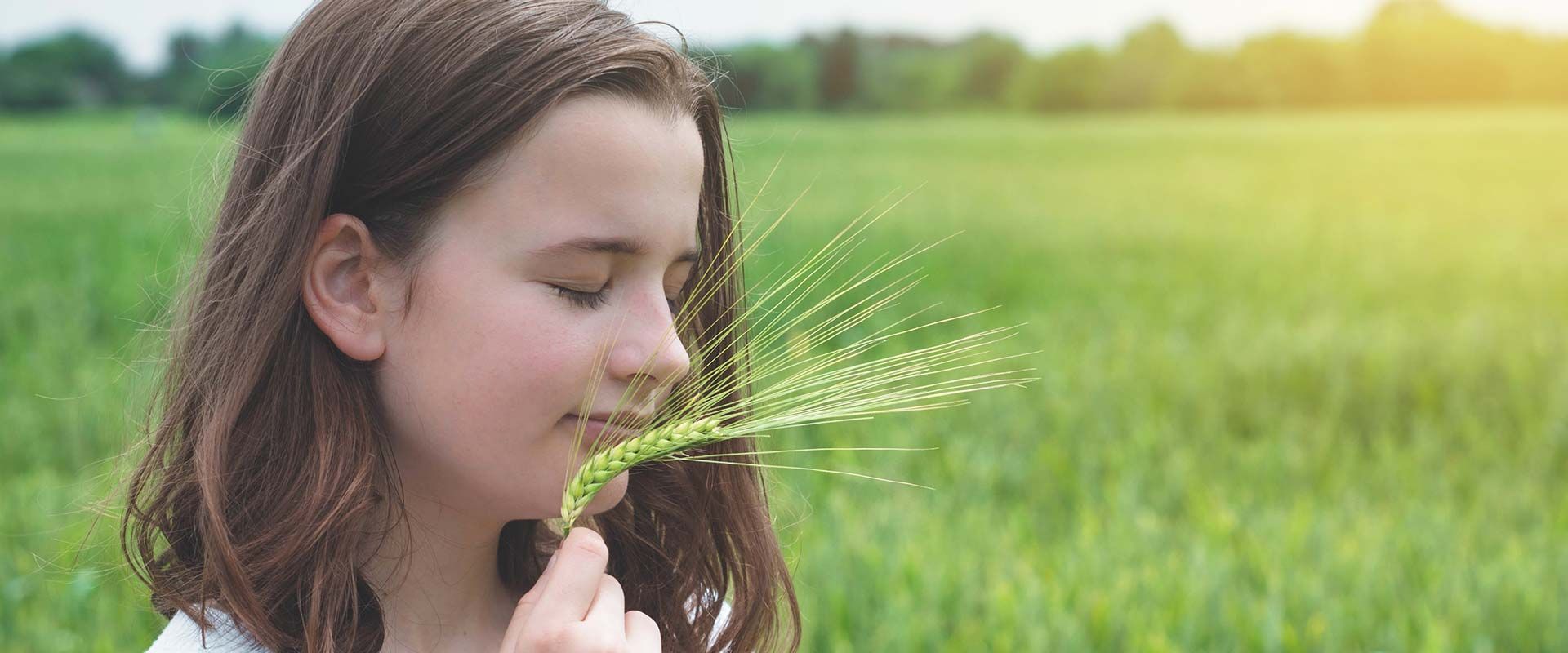 Essential oils and herbs