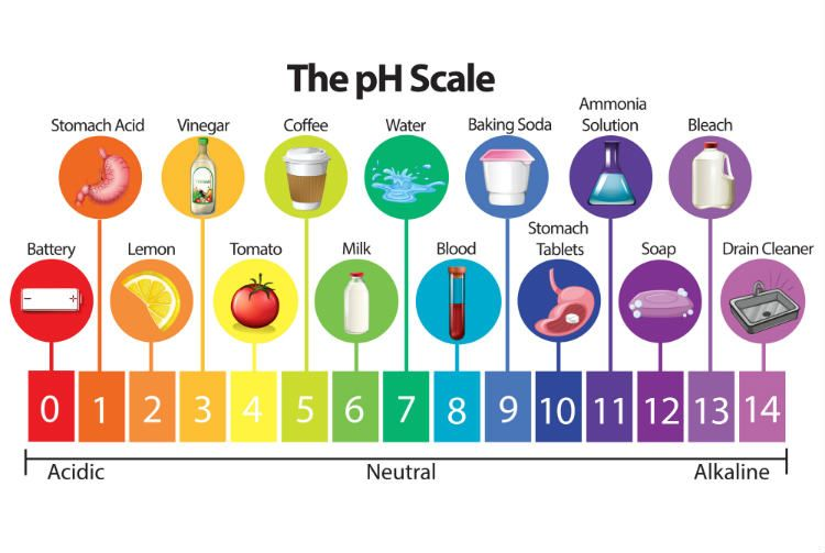 the ph scale the ph scale