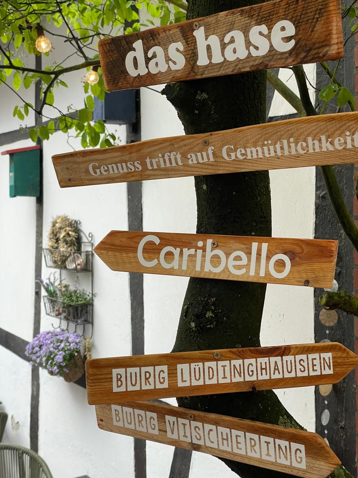 Hölzerne Wegweiser an einem Baum, darunter „das hase“, „Caribello“ und „BURG LODDINGHAUSEN“.