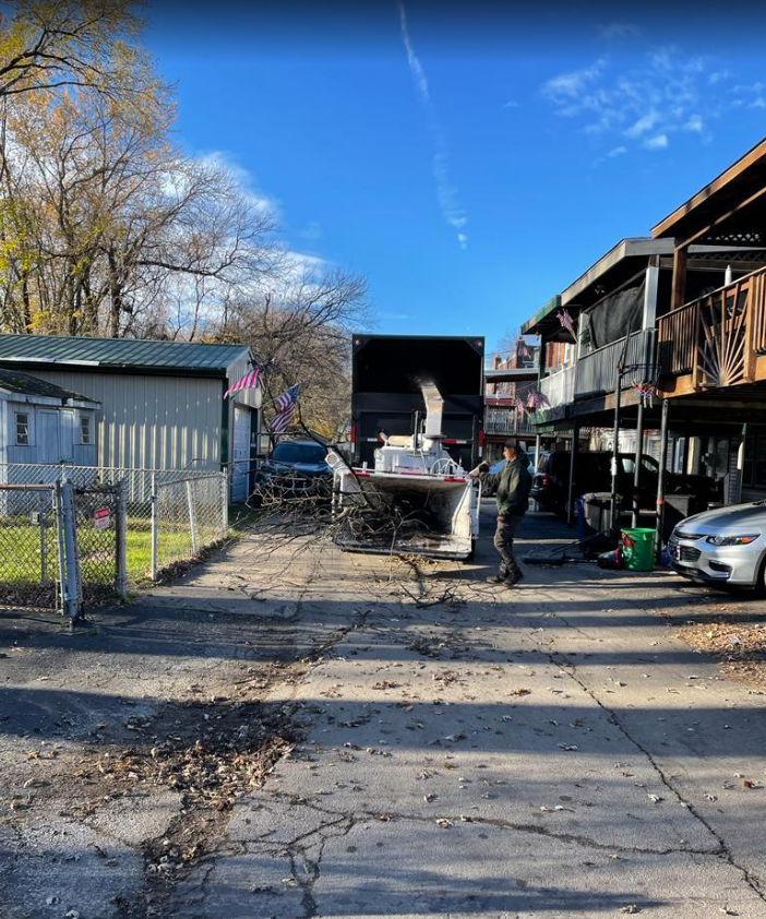 Man Collecting Tree Branches — Wilmington, DE — Golden Tree Landscaping & Tree Service