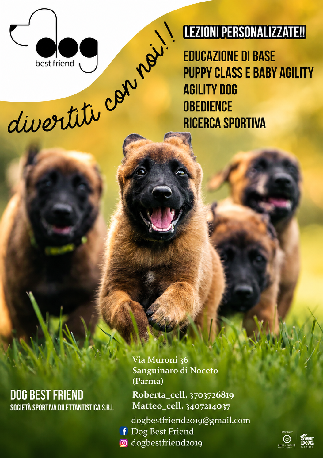 locandina per lezioni personalizzate con cani