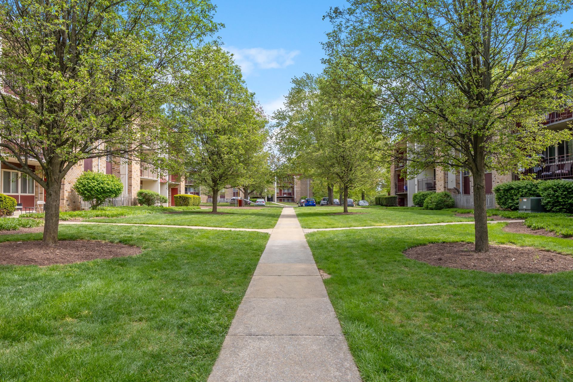 A sidewalk leading to a lush green park surrounded by trees and buildings.