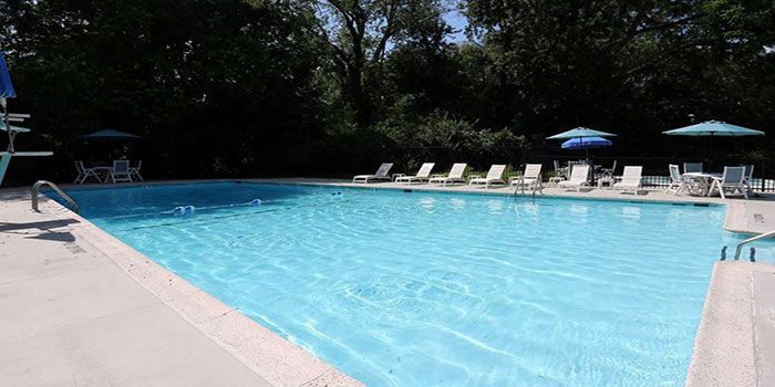 A large swimming pool surrounded by chairs and umbrellas on a sunny day.