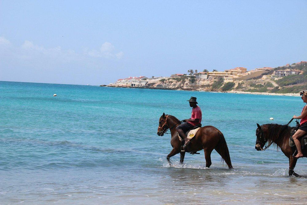 Horseback Riding