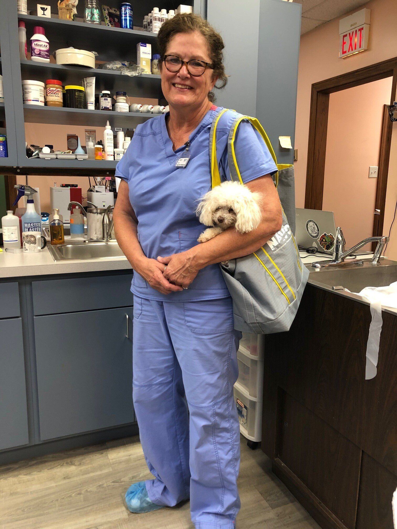 A woman in scrubs is holding a small white dog in her purse.