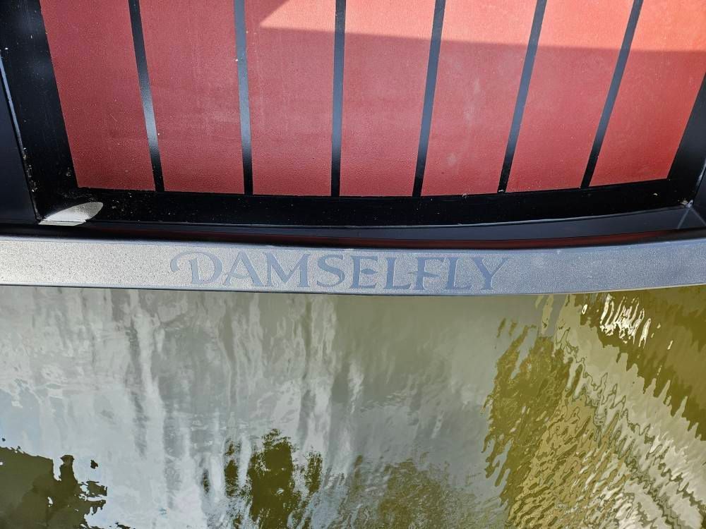 Damselfly name graphic