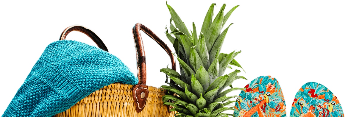 beach elements