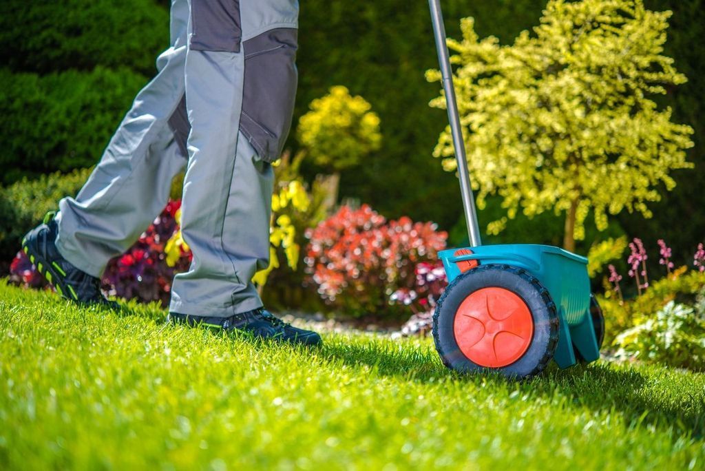 Uprooted tree lying on a grassy lawn. Green wheelbarrow filled with flowers and garden tools on a grassy lawn