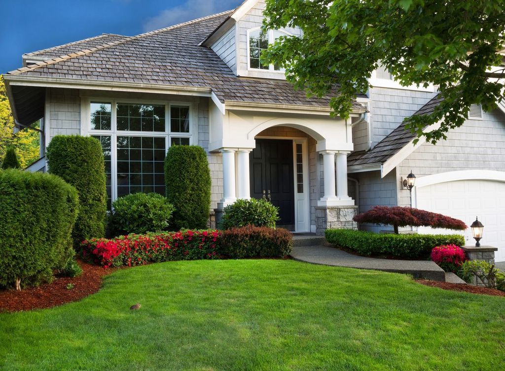 Uprooted tree lying on a grassy lawn. Suburban house with manicured lawn, red flower bed, and white-trimmed front entrance
