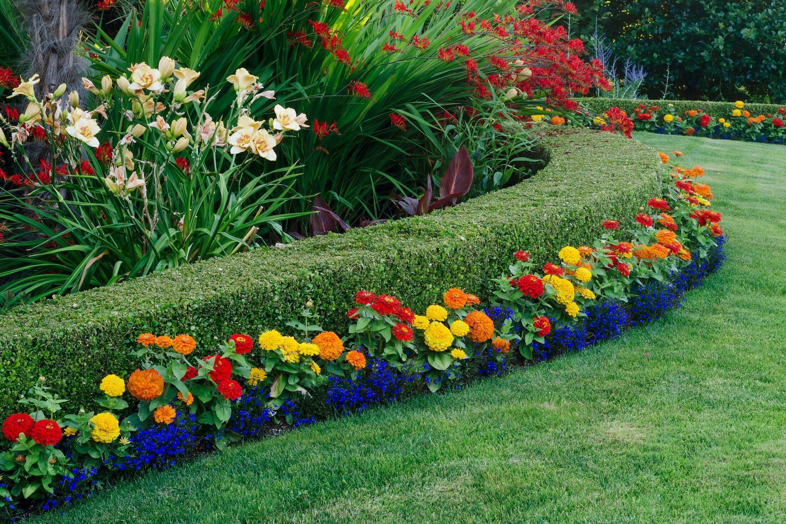 Curved flower bed with colorful blooms bordering a green lawn