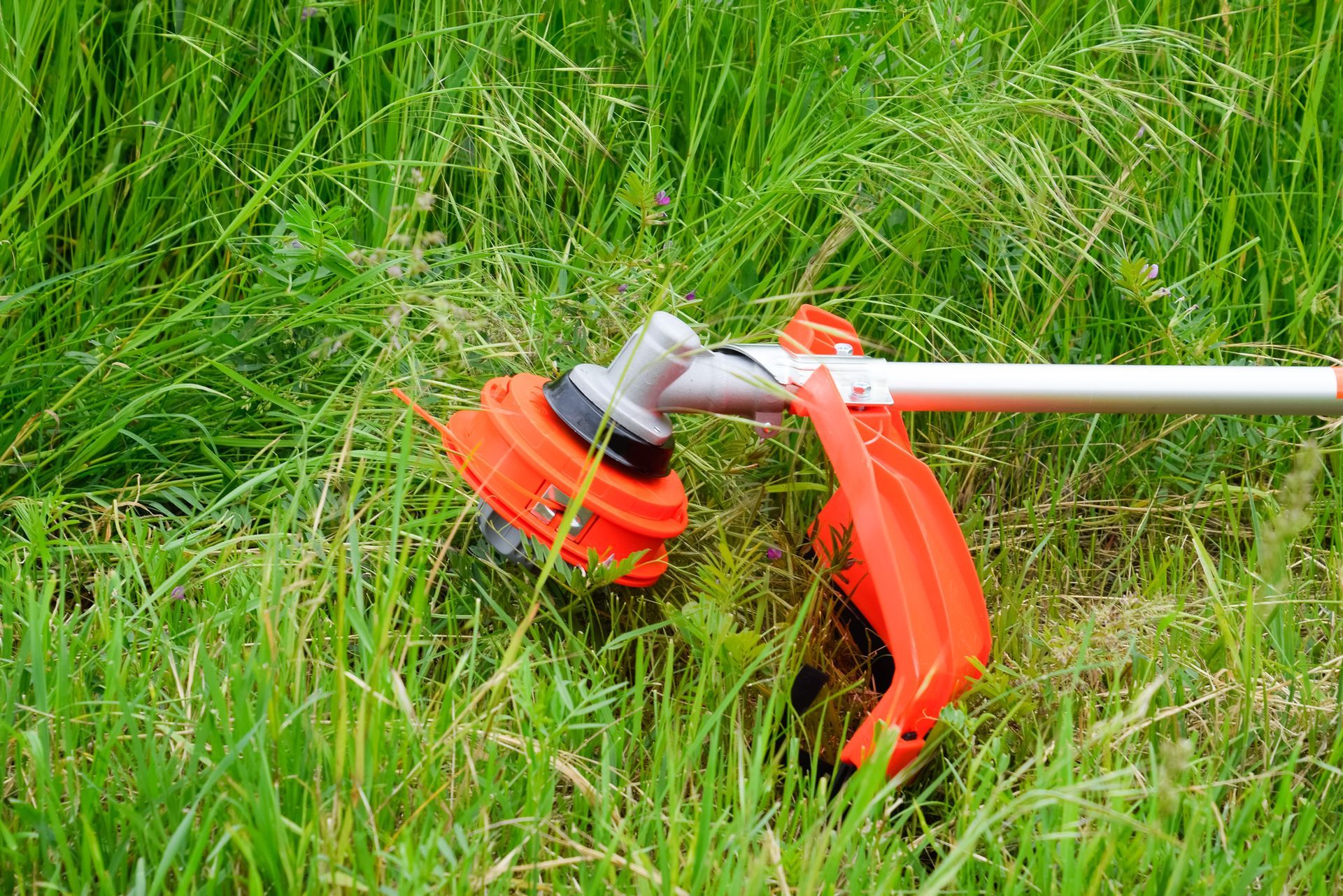 Orange string trimmer cutting grass in a green lawn