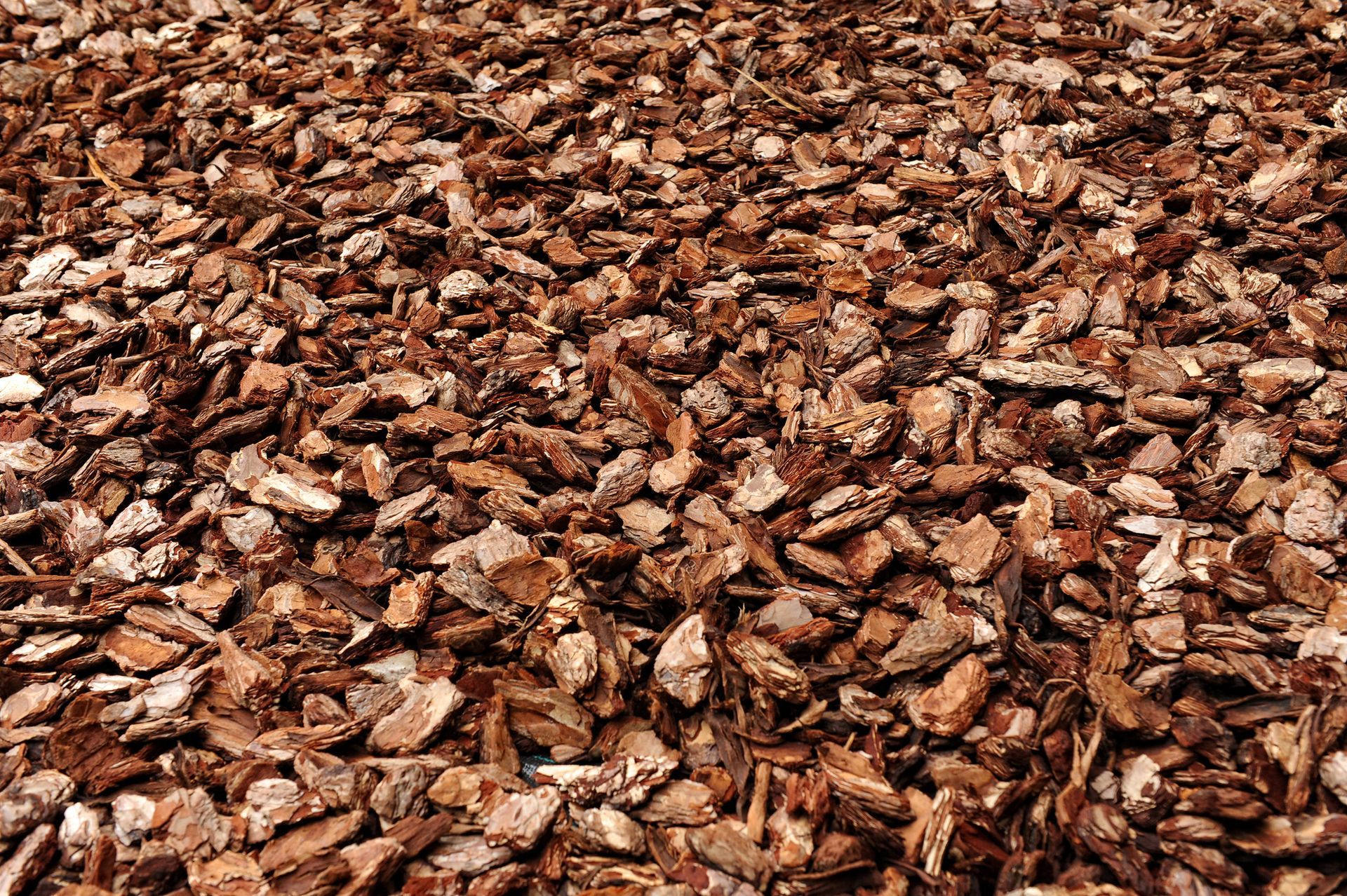 Uprooted tree lying on a grassy lawn. Close-up of a pile of brown wood chips or mulch filling the frame.