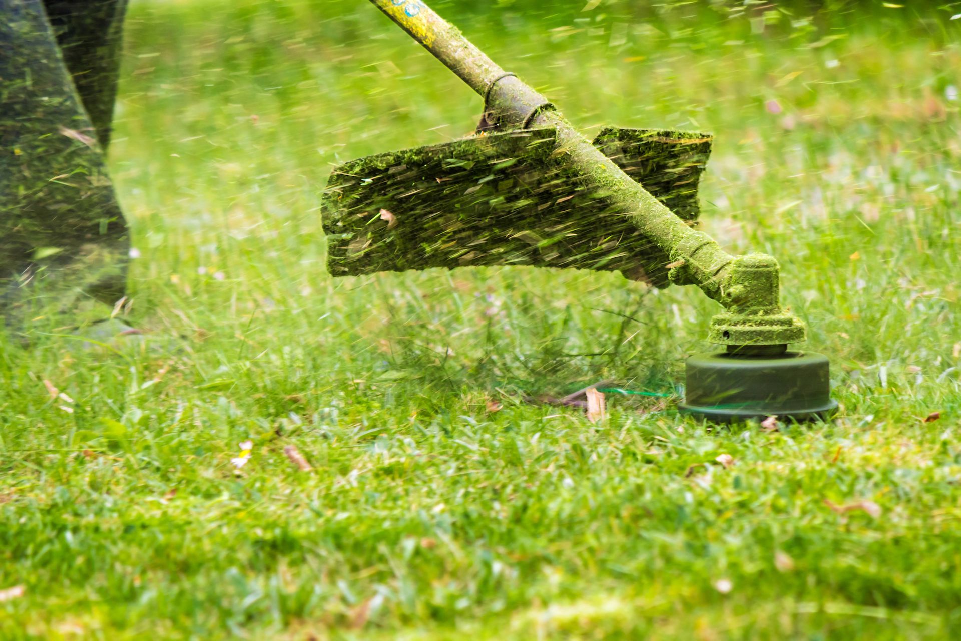 Uprooted tree lying on a grassy lawn. A person uses a trimmer to cut grass beside a moss-covered garden bench or ornament.