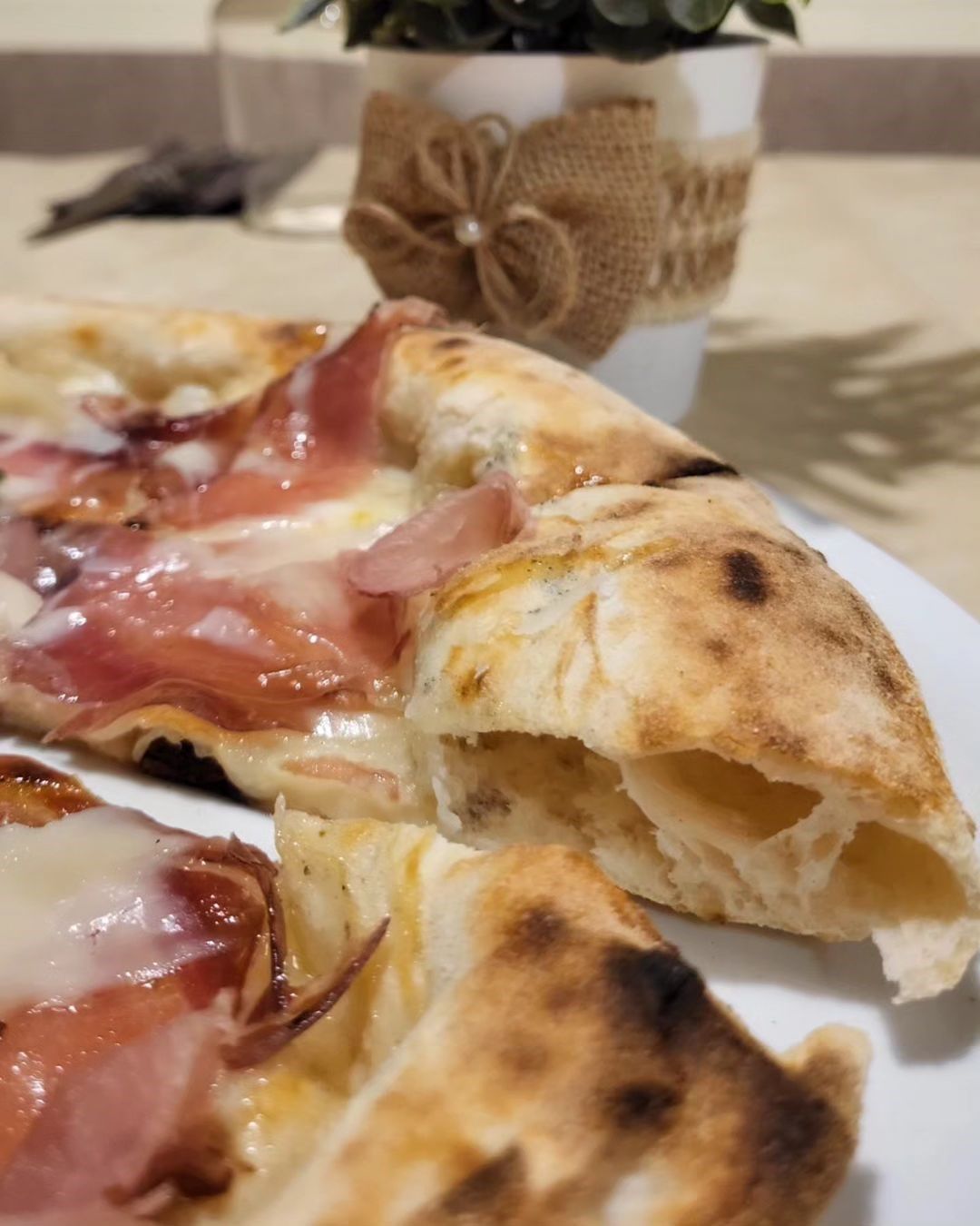 Fette di pizza su un piatto bianco, con una pianta in vaso dalla texture particolare sullo sfondo.