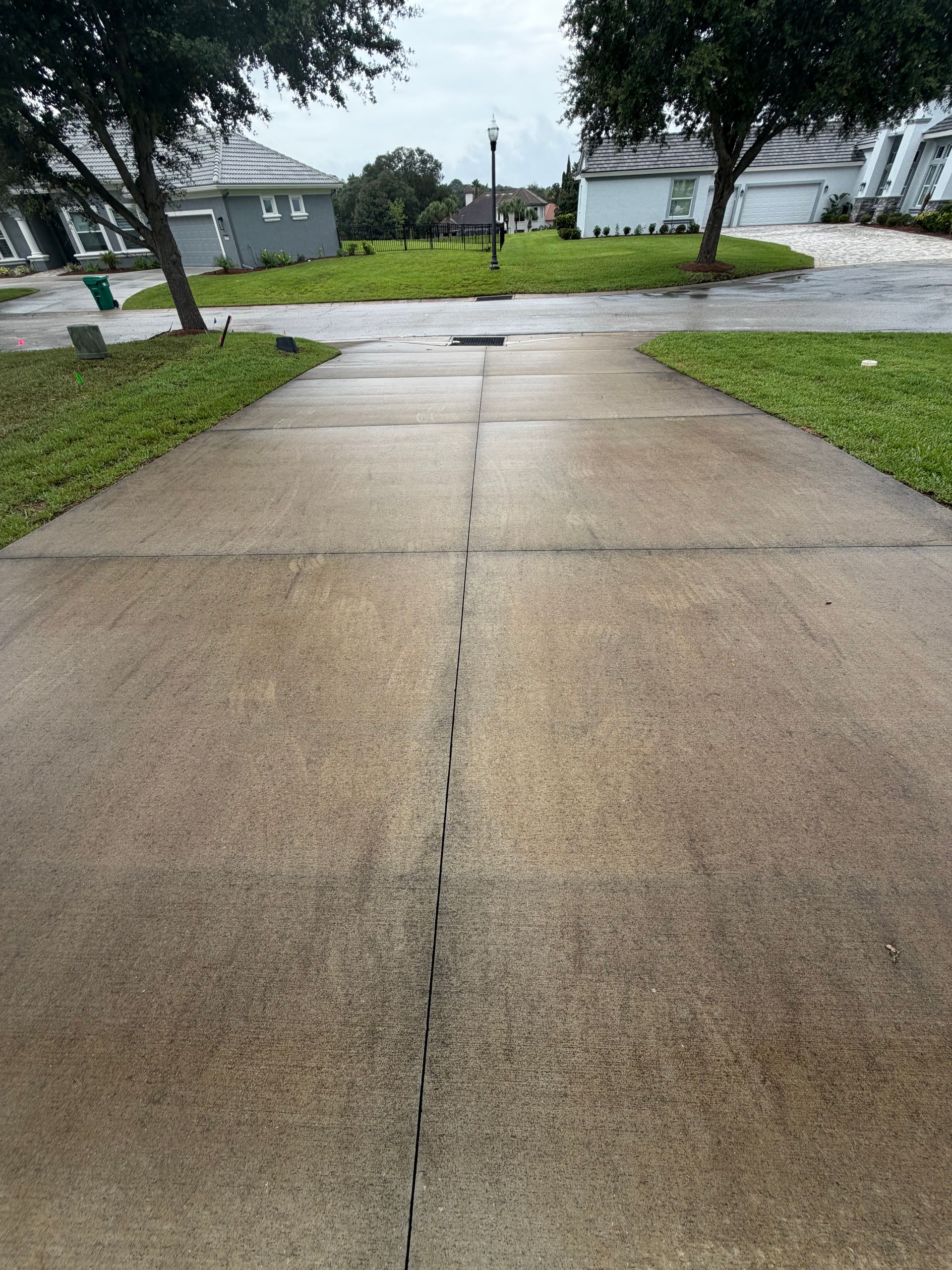 Wet concrete driveway leading to a street, with houses and a grassy yard on a rainy day