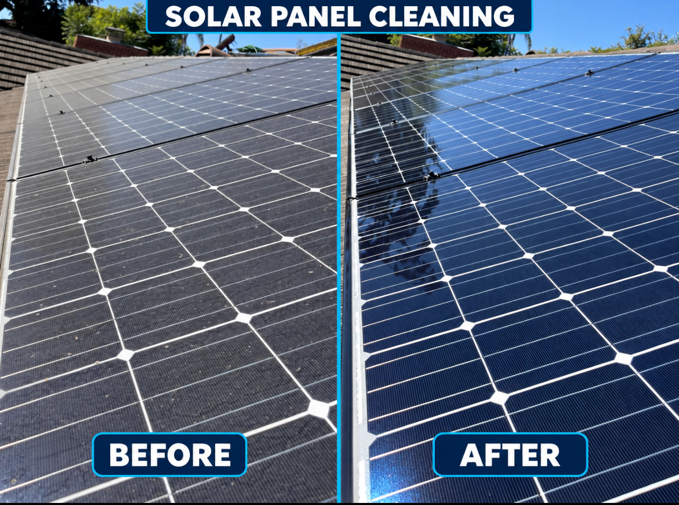 Black solar panels on a shingled roof beside trees and a driveway in a rural yard