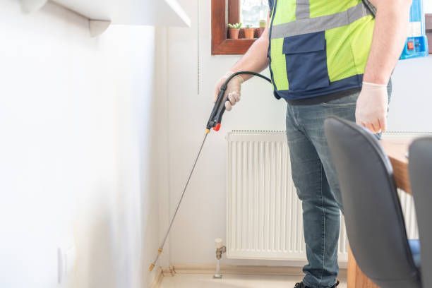 Pest control expert performing termite inspection with sprayer near wall and radiator in home.