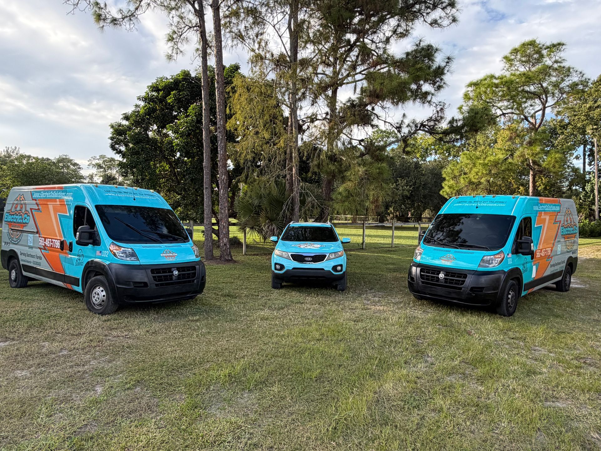 Three bright blue-and-orange vans parked on grass in a park, with trees in the background