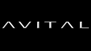 Avital® Security Systems