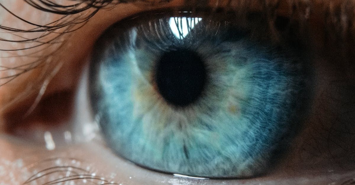 Eeris