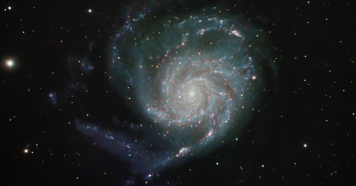 Fűszergalaxis