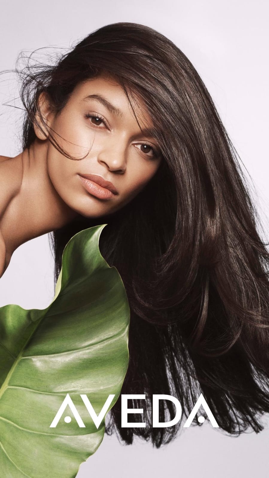 new botanical repair