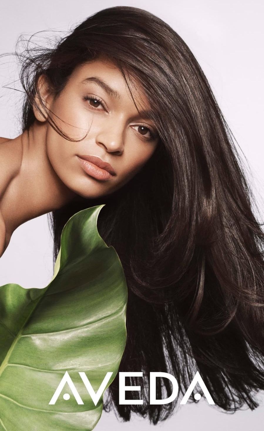 colori aveda
