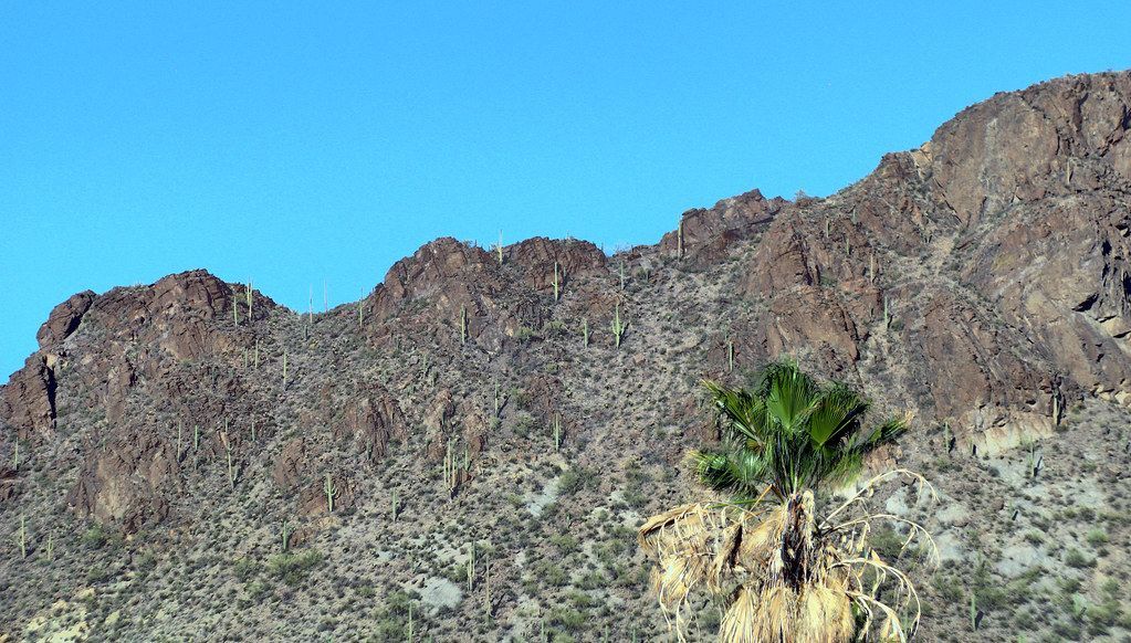 Tucson Estates