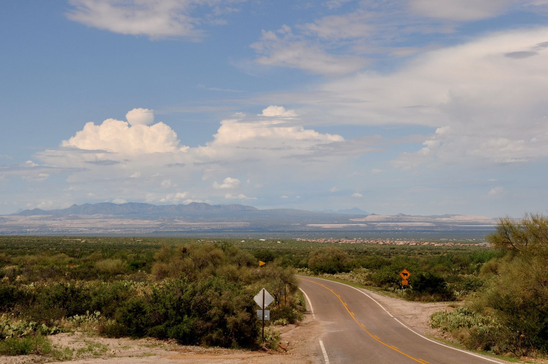 Corona de Tucson