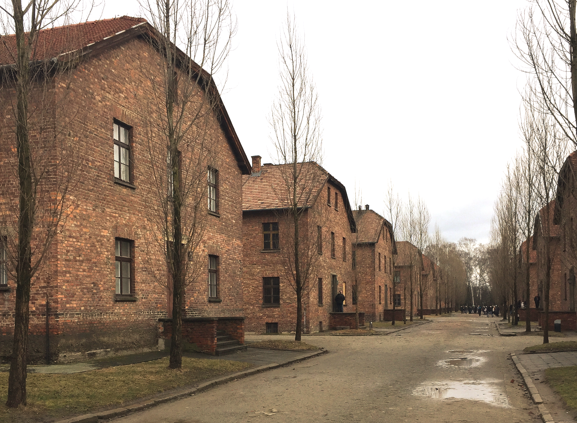 Auschwitz