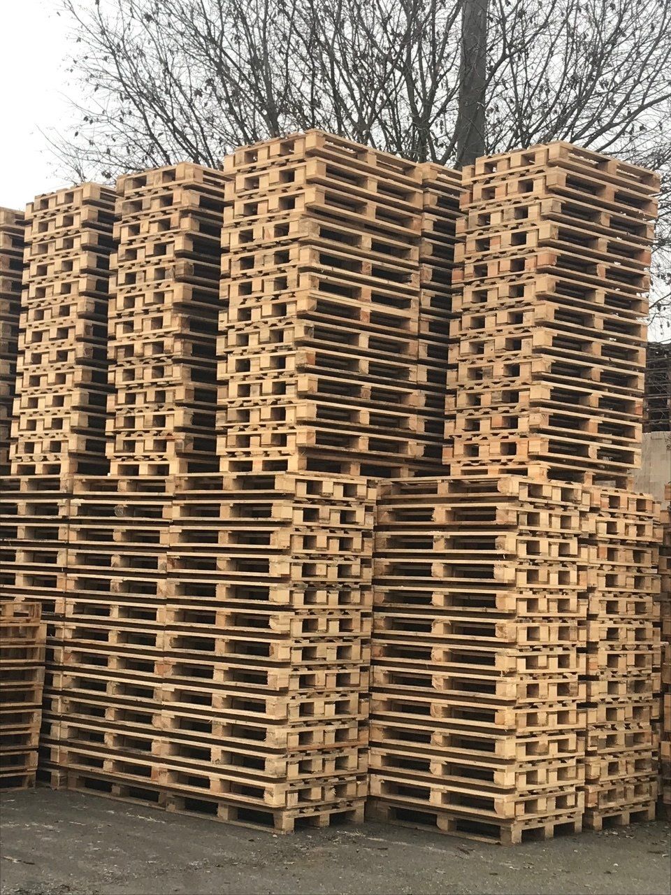 casse in pallet