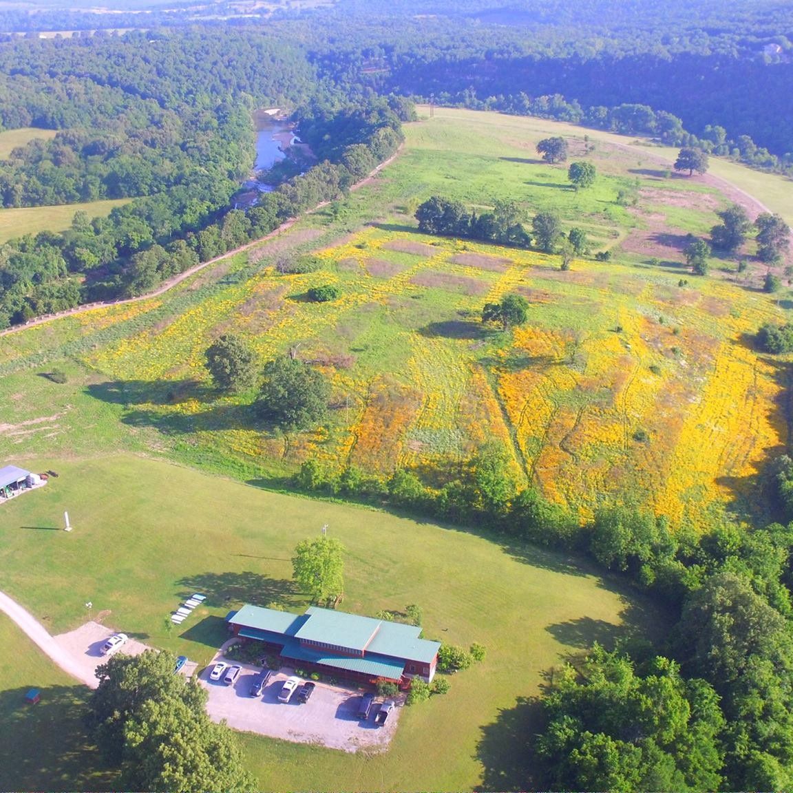 Rainbow Drive Resort The Area