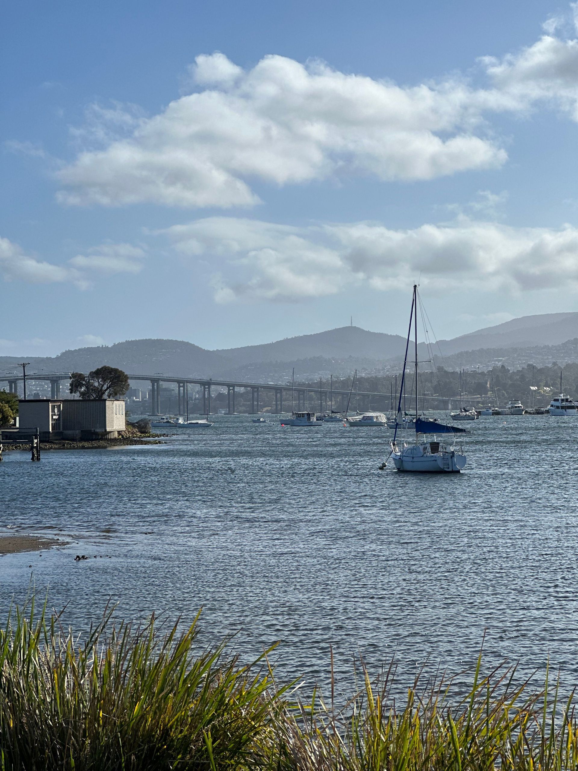 Blue sailboat on choppy water near a shoreline with hills and clouds in the distance