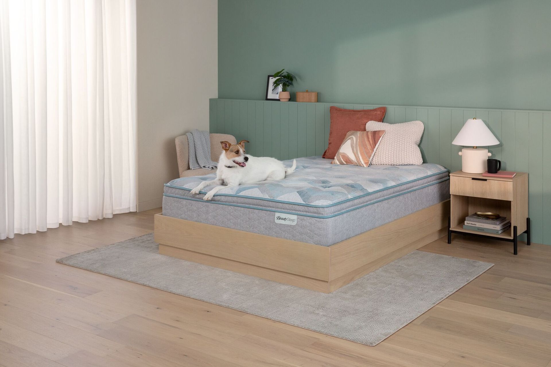 A dog sits on a mattress in a minimalist bedroom with sage green walls, wooden furniture, and a grey area rug.