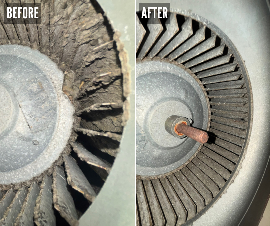Blower Motor Cleaning