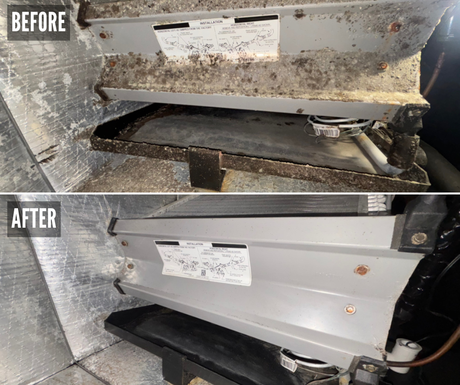 Evaporator Coil Cleaning