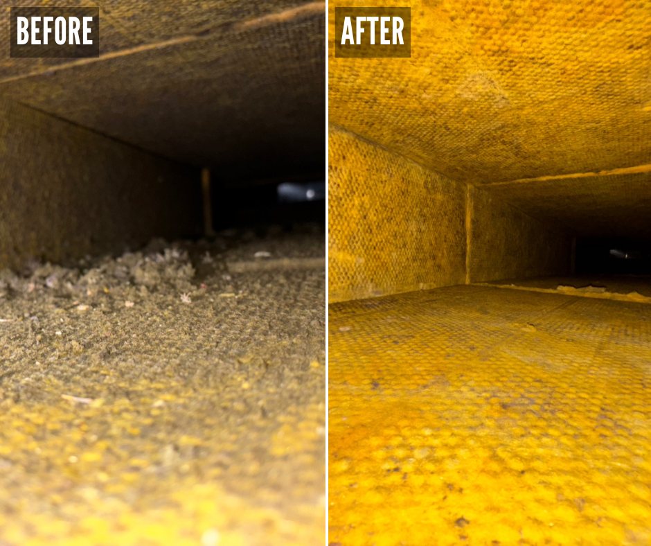 Duct Cleaning