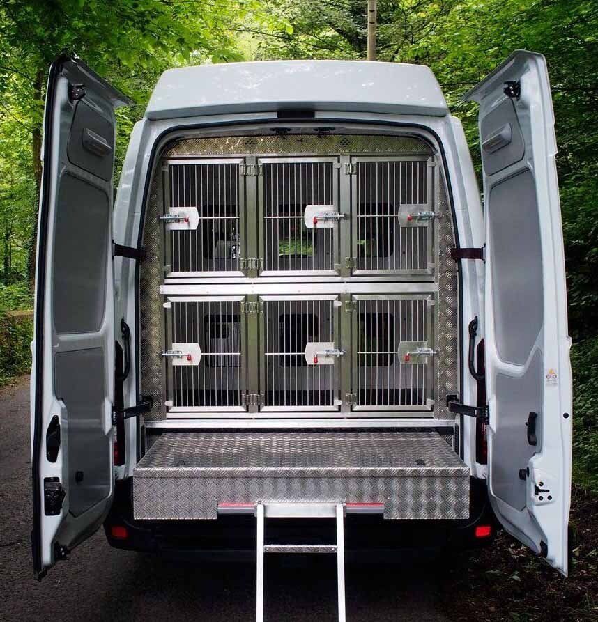 transporte canino
