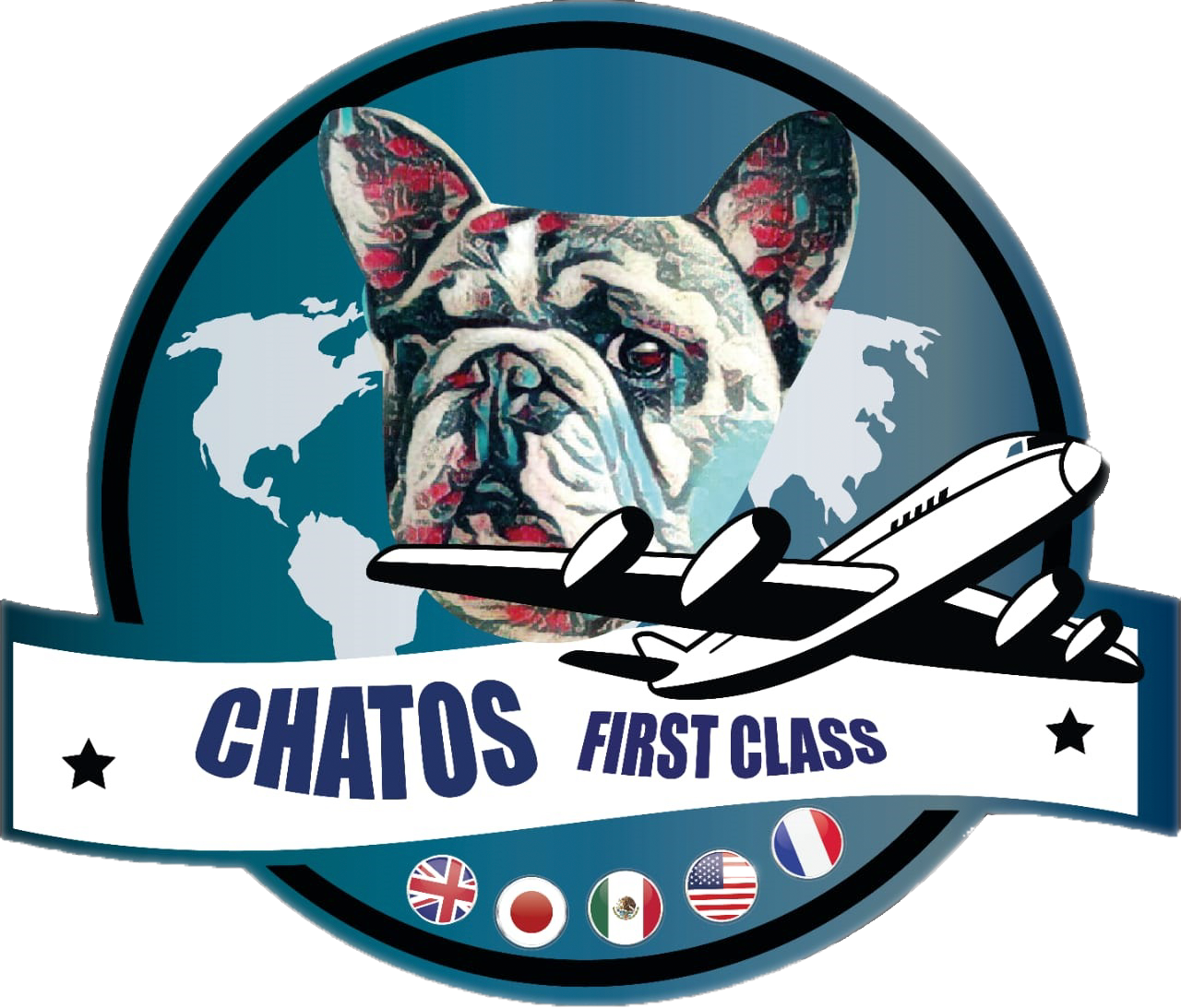 transporte de perros