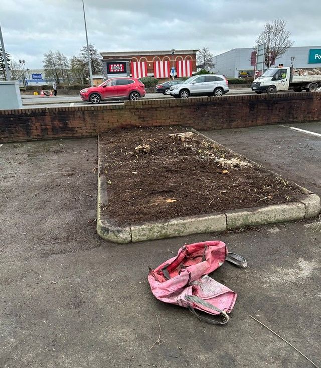 Site fully cleared and all overgrown garden waste taken away by J&Z House Clearance Cardiff