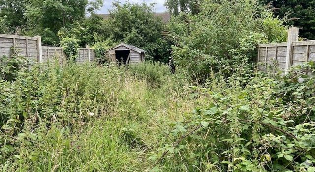 Overgrown garden in Cardiff before a garden clearance by J&Z House Clearance